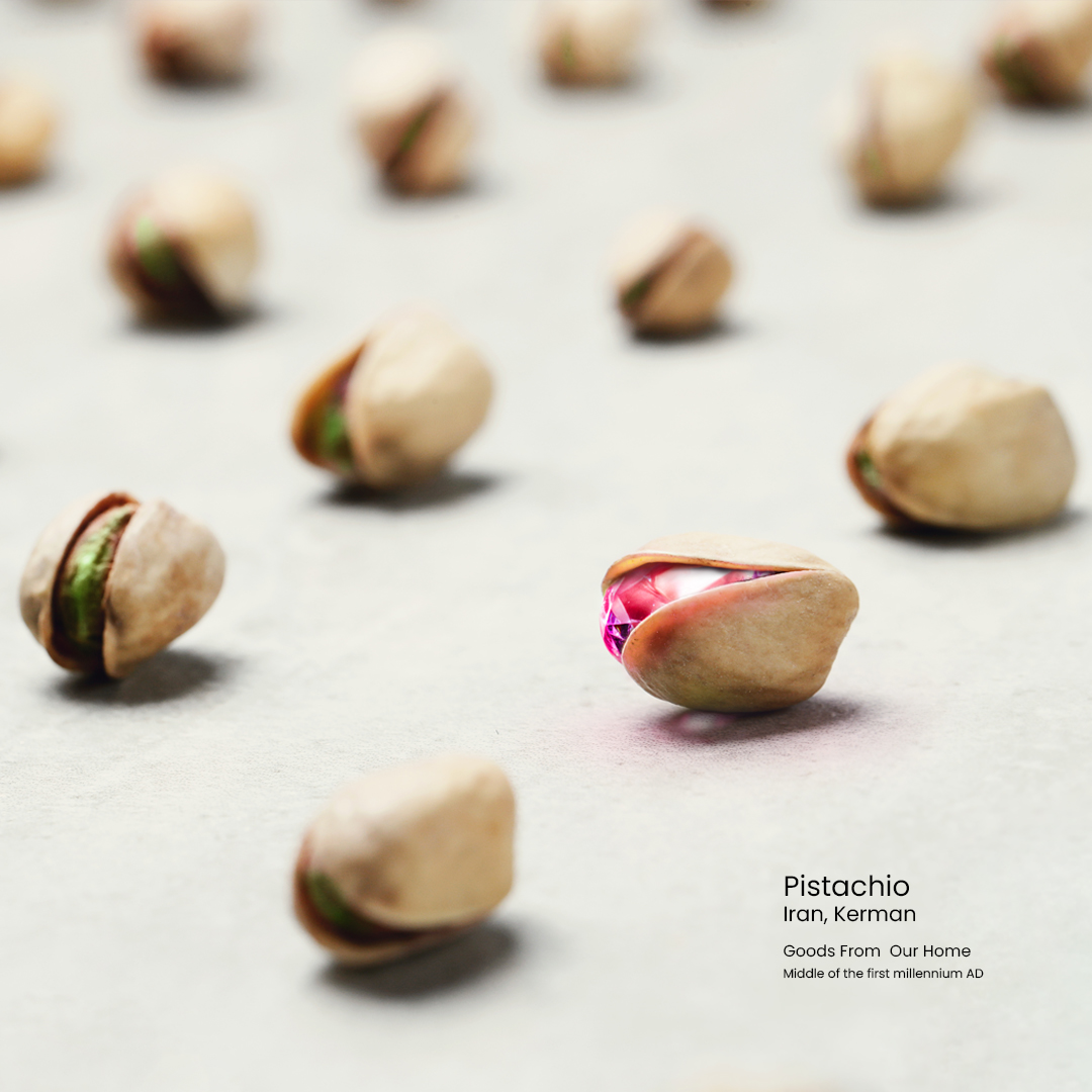 DECAMOOND-Services 1st kerman brand inovation studio