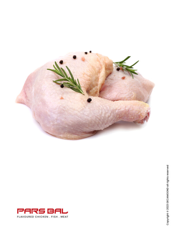 1st kerman brand inovation studio