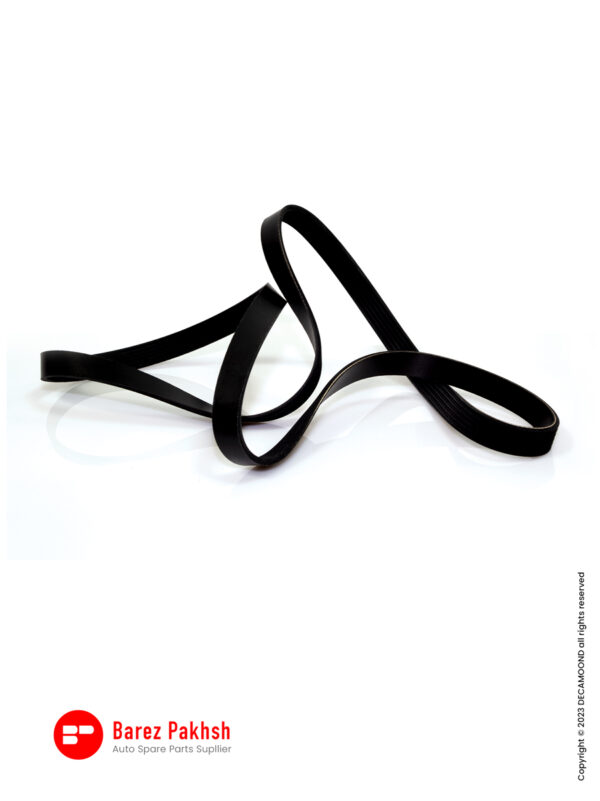 1st kerman brand inovation studio