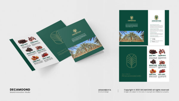 Decamoond-Brochures-6 1st kerman brand inovation studio